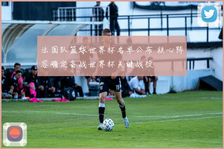 法国队篮球世界杯名单公布 核心阵容确定备战世界杯关键战役