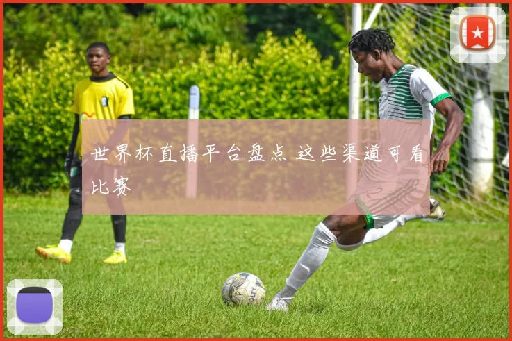 世界杯直播平台盘点 这些渠道可看比赛