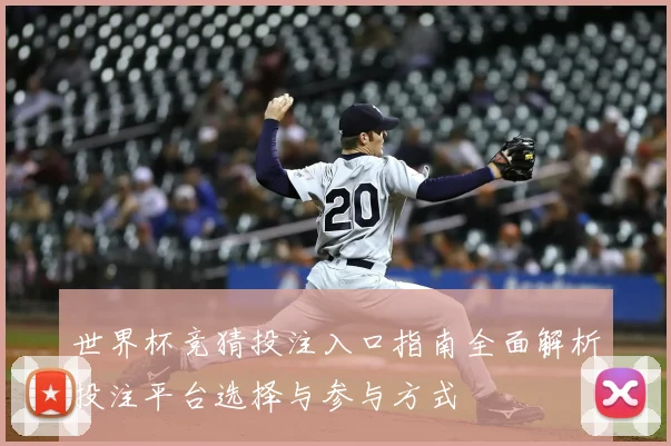 世界杯竞猜投注入口指南全面解析投注平台选择与参与方式