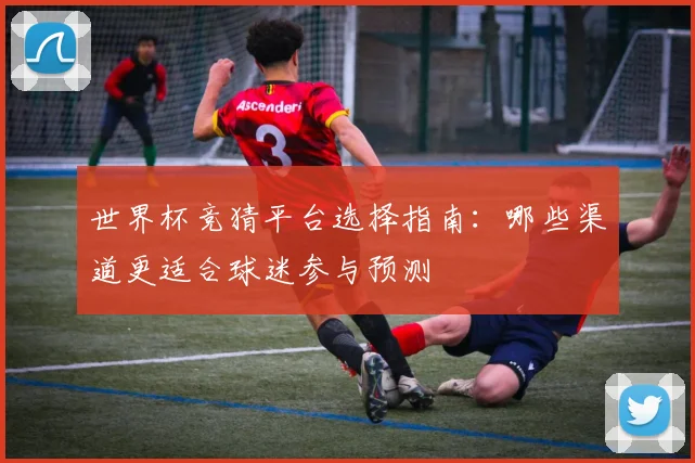 世界杯竞猜平台选择指南：哪些渠道更适合球迷参与预测