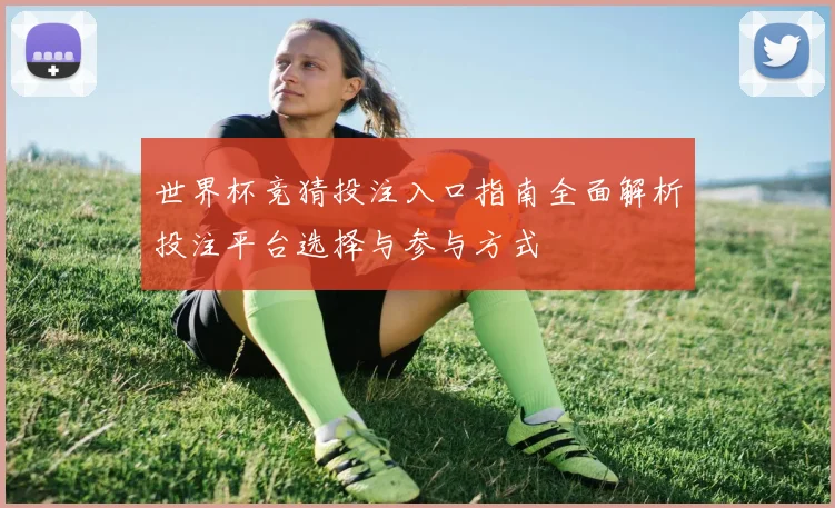 世界杯竞猜投注入口指南全面解析投注平台选择与参与方式